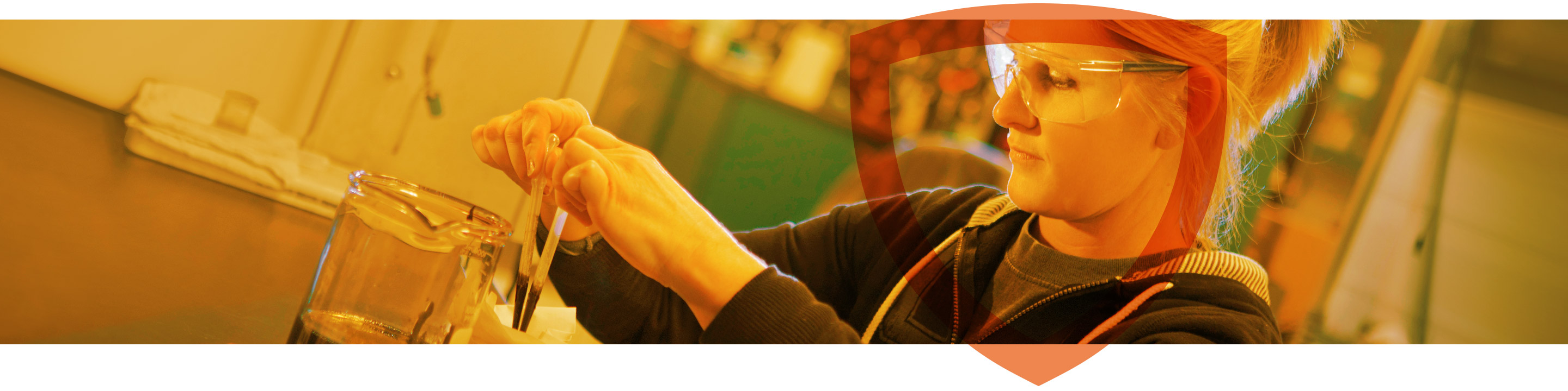 Dyna-Plex 21C Programs Header Image